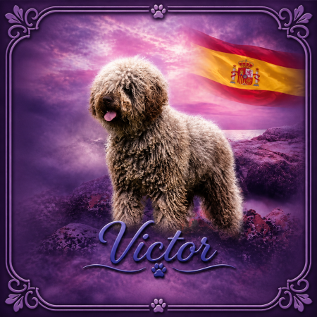 Victor iko