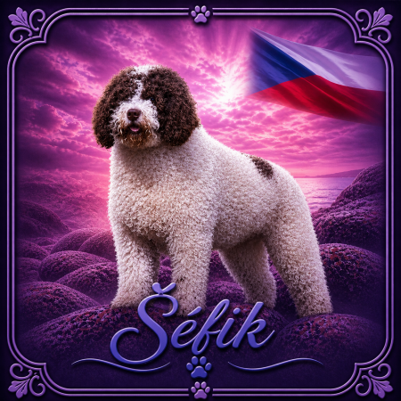 Šéfík iko