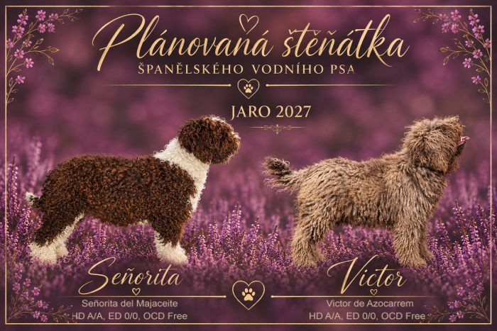 Senorita Victor